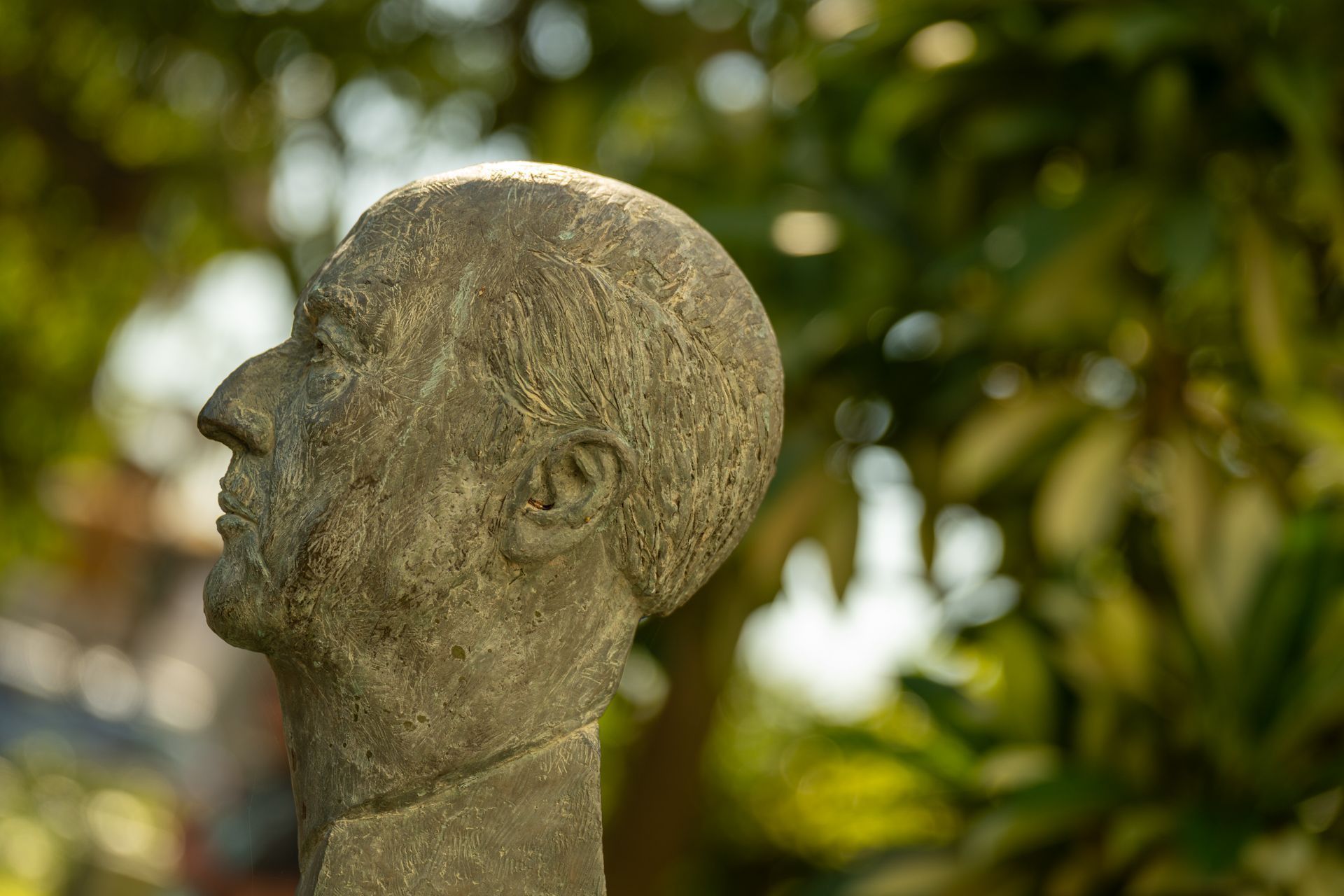 Plaza Jardín Alfonso Canales-image